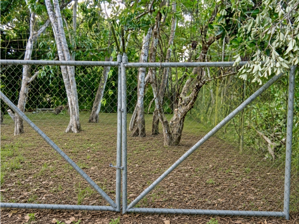 SAN CARLOS / LAS UVAS / 600 M2 / TERRENO PLANO / SOBRE VIA PRINCIPAL - 5