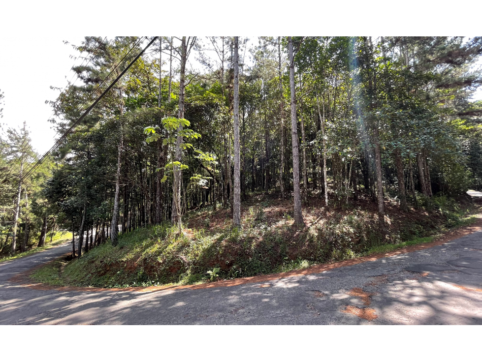 TERRENO / CERRO AZUL / 1301M / CON PAISAJISMO / CLIMA FRIO - 1