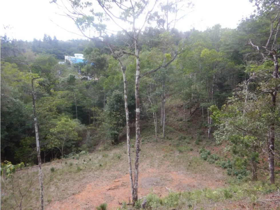 TERRENO / ALTOS DE CERRO AZUL / 2363M / CON PAISAJISMO / CLIMA FRIO - 5