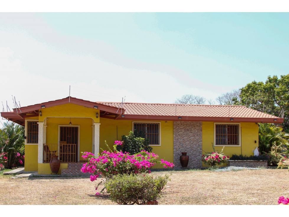 PENONOME / RIO GRANDE / 2000 M2 / CASA CAMPESTRE / AMOBLADA - 4
