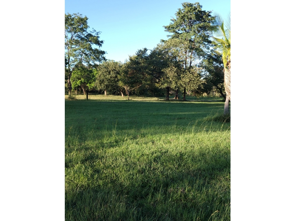CORONADO / BOULEVARD / FINCA PLANA / 14 HECTÁREAS / 50.00 m2