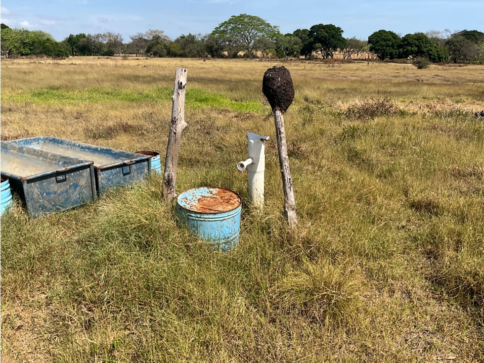 LAS TABLAS / FINCA / 3 HECTAREAS / POZO DE AGUA - 6