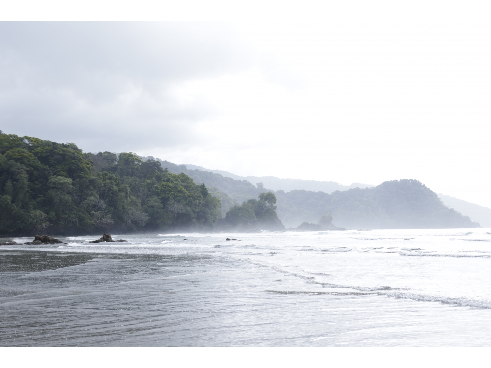 DARIEN / BAHIA PIÑA / 820 HECTAREAS / ISLA TOTALMENTE VIRGEN / AG - 3
