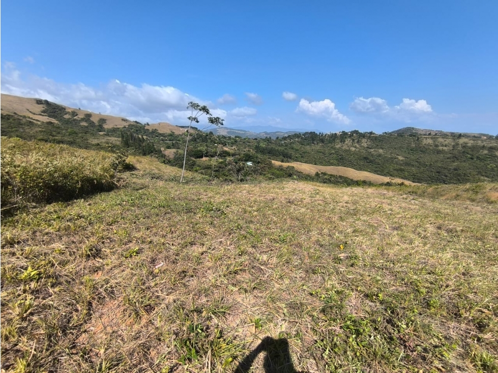 SAN CARLOS / LA LAGUNA / 4019M / VISTA AL MAR / PARA DESARROLLO