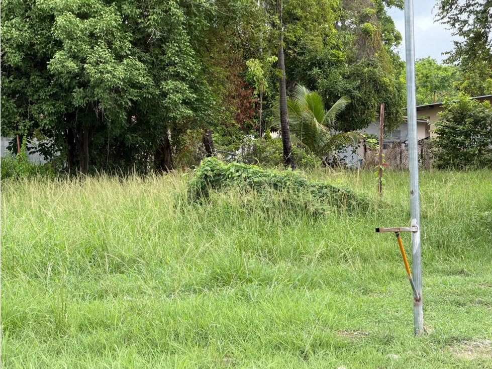 SE VENDE TERRENO EN CHAME 719 M2 VIA PRINCIPAL INTERAMERICANA — foto 4