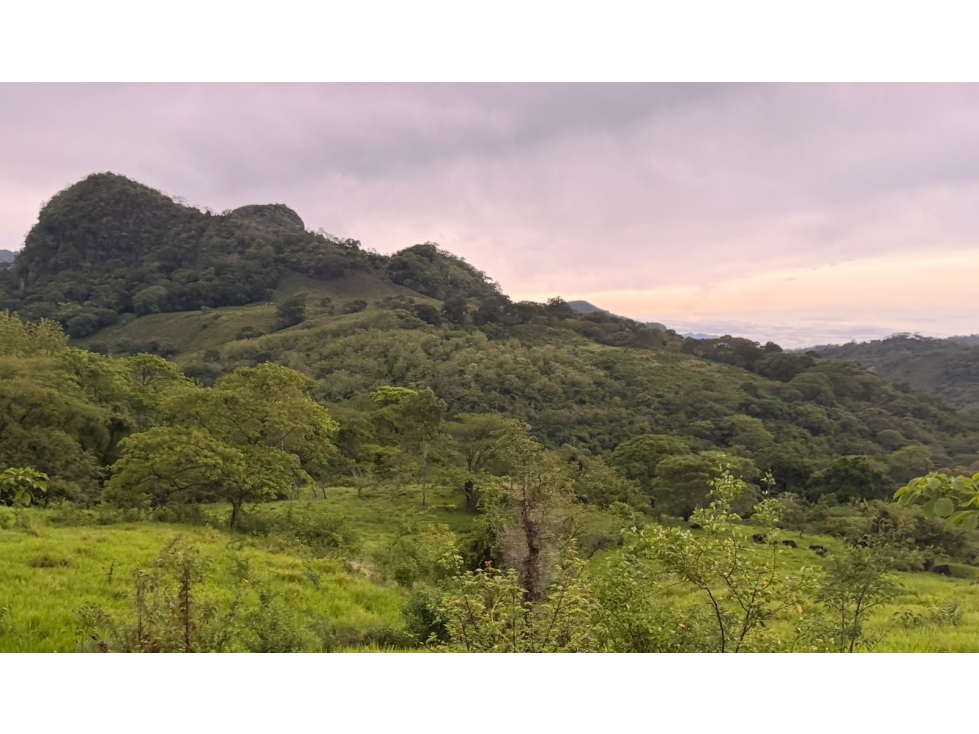 TERRENO / CHAME / LOS CAJONES / 20K M / SOBRE VIA ASFALTADA