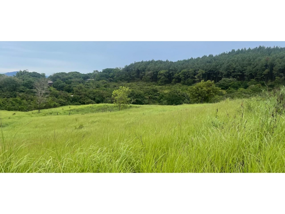 CHAME / SORA / 13.9 HECTAREAS / FINCA / VIA ASFALTADA / CLIMAS FRESCOS