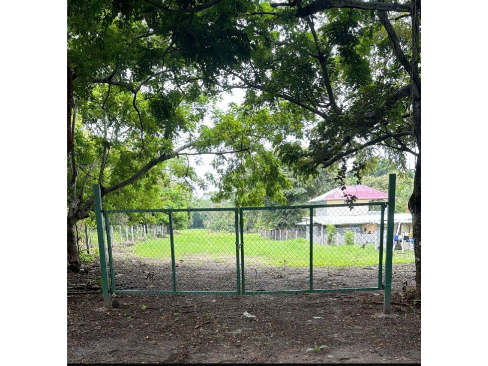 CHAME / BEJUCO / 4.5 HECTAREAS / TERRENO AMPLIO / ZONAS VERDES — foto 5