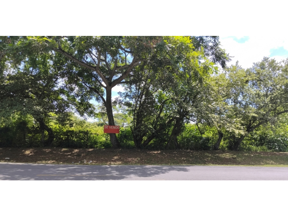 SE VENDE TERRENO 2 HECTAREAS EN COCLE CHURUBE SOBRE VIA ASFALTADA - 6