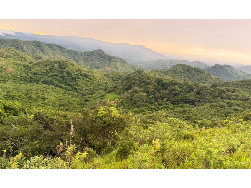 FINCA / CHAME / SORÁ / 21 HECTÁREAS / HERMOSA VISTA AL MAR / AMPLIO