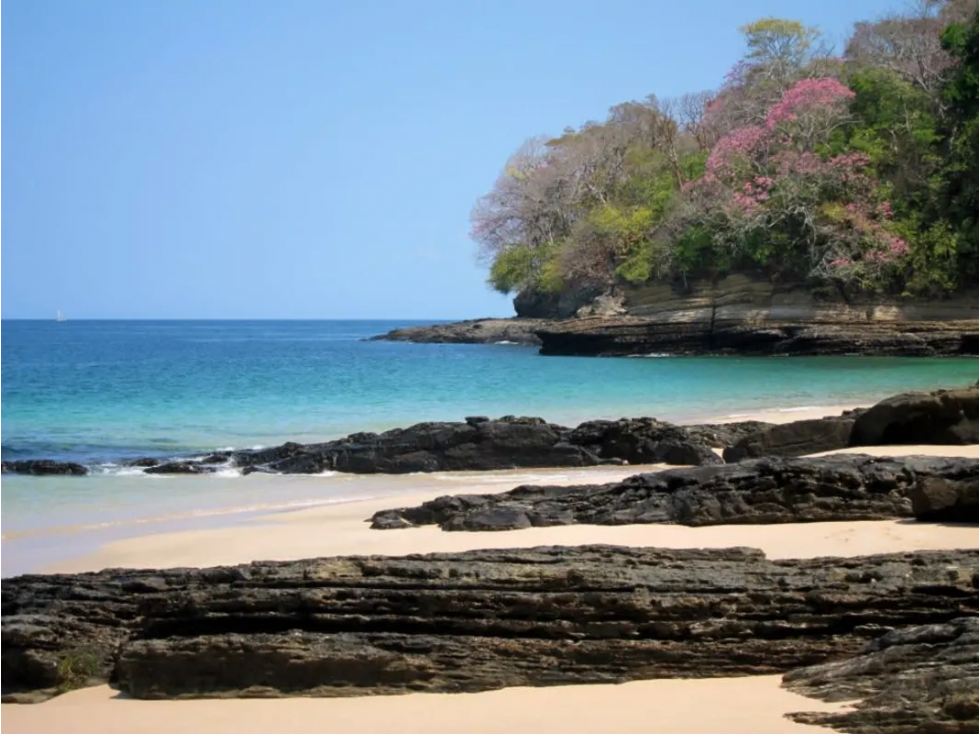 ARCHIPELAGO DE LAS PERLAS / ISLA SABOGA / FRENTE AL MAR / 2000 M2 - 2
