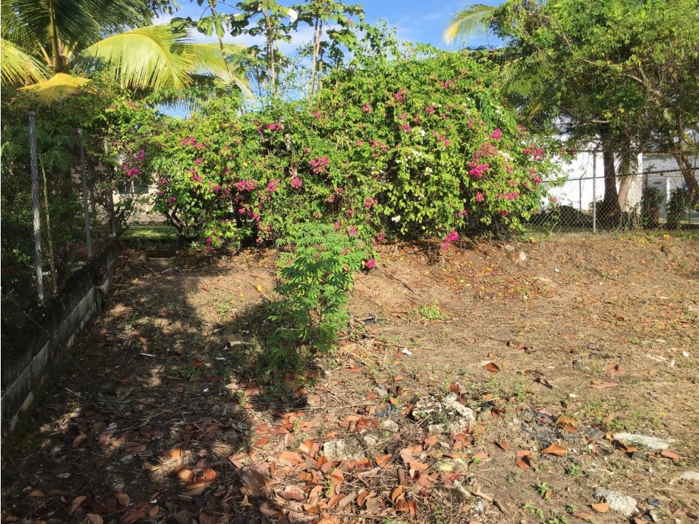 TERRENO / CORONADO / 800 M2 / AREA RESIDENCIAL / LOTE PLANO — foto 6