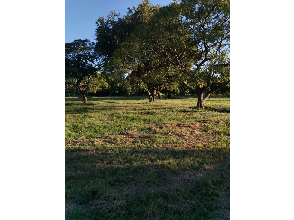 CORONADO / BOULEVARD / FINCA PLANA / 14 HECTÁREAS / 50.00 m2 — foto 2