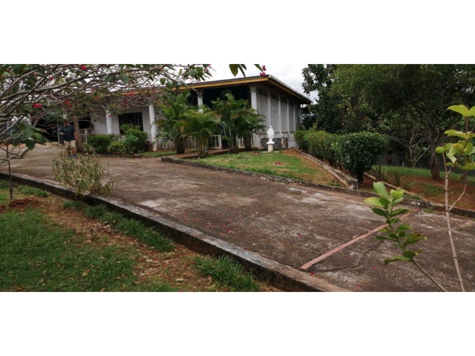 CHEPO / LA HIGUERA / 2396M2 / 4 HAB / BOHIO / BAR / PISCINA / TERRAZA - 4