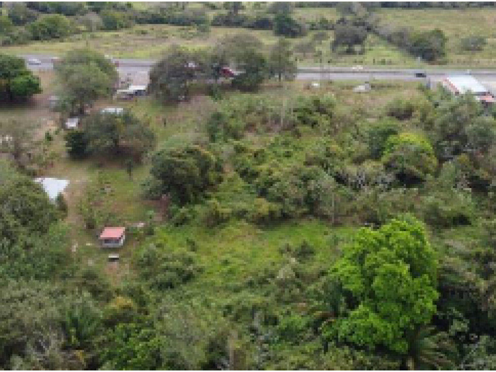 CAPIRA / 6 HECTAREAS / VIA INTERAMERICANA / CON PROYECTO APROBADO - 3