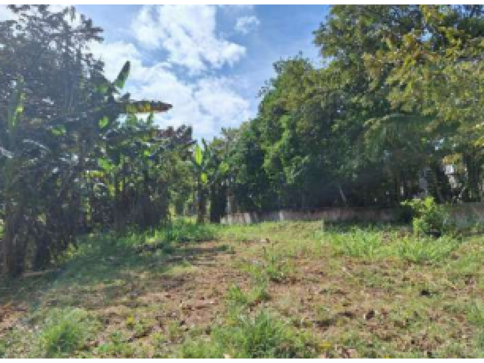 SAN CARLOS / TERRENO / 10433 M2 / CASA OBRA GRIS / CALLE ASFALTADA