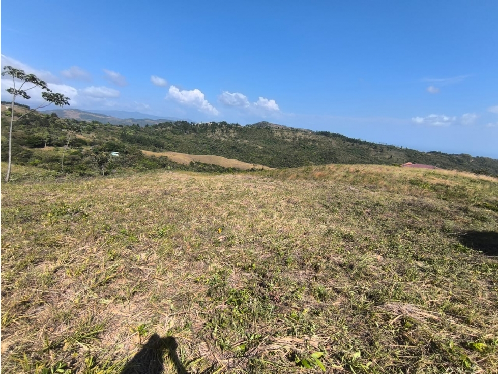 SAN CARLOS / LA LAGUNA / 4019M / VISTA AL MAR / PARA DESARROLLO — foto 3