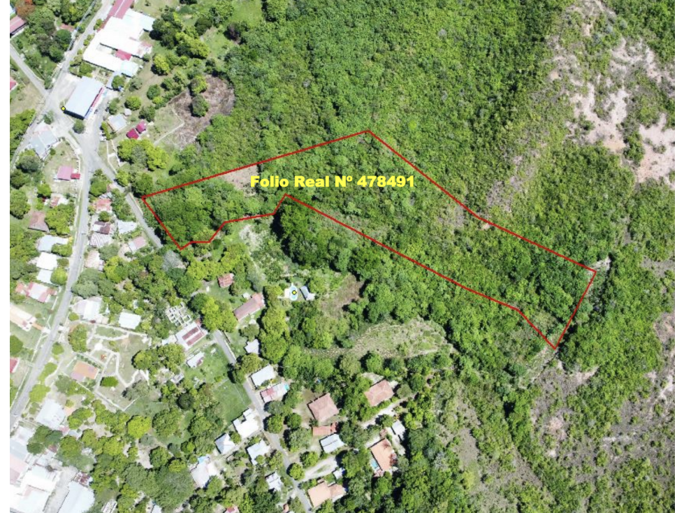 SAN CARLOS / EL HIGO / 2.1 HECTAREAS / TERRENO / ZONAS VERDES - 2