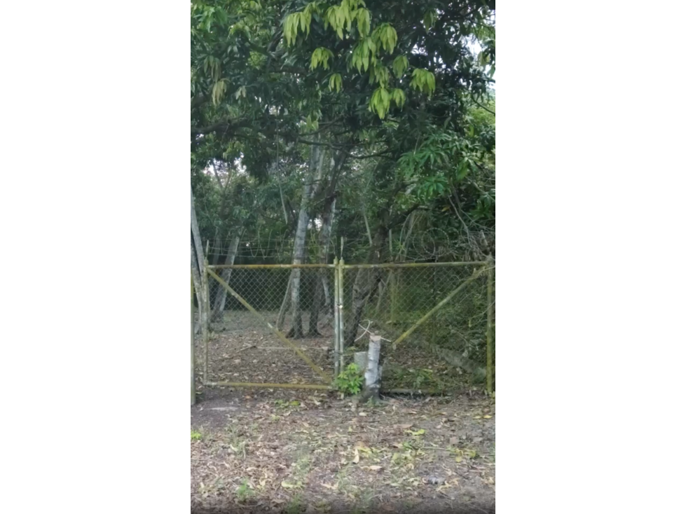 SE VENDE TERRENO 600 M2 EN SAN CARLOS LAS UVAS SOBRE VIA PRINCIPAL - 6