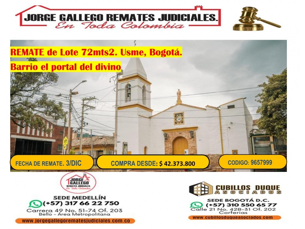 REMATE LOTE