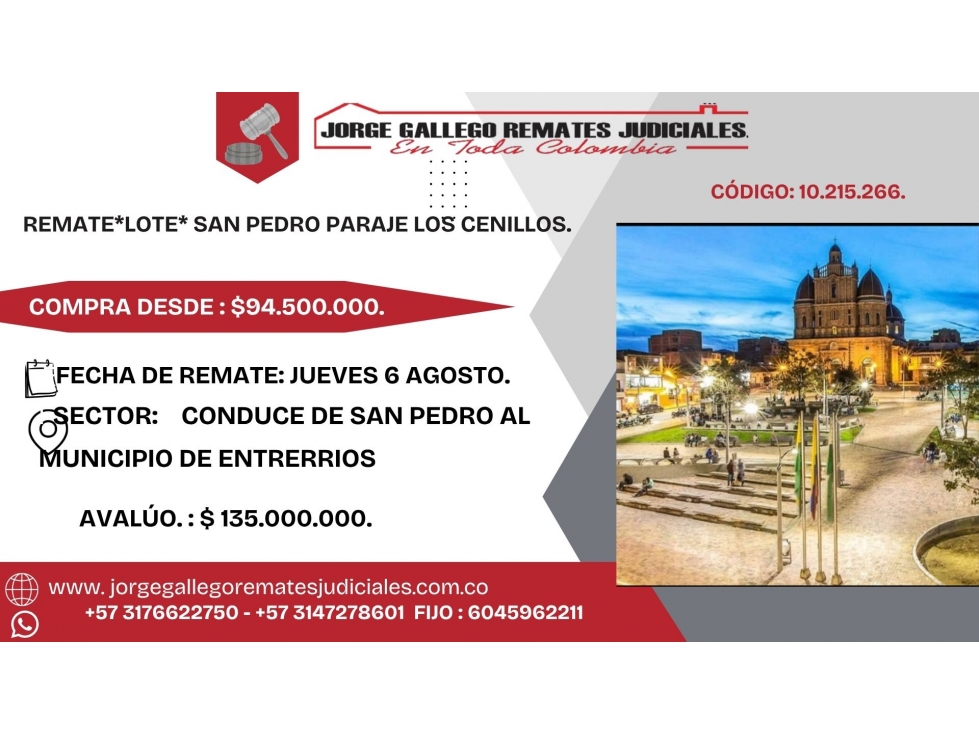 REMATE*LOTE* SAN PEDRO PARAJE LOS CENILLOS.