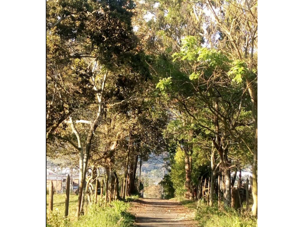 REMATE LOTE GIRARDOTA, Antioquia, Vereda Juan Cojo — foto 2