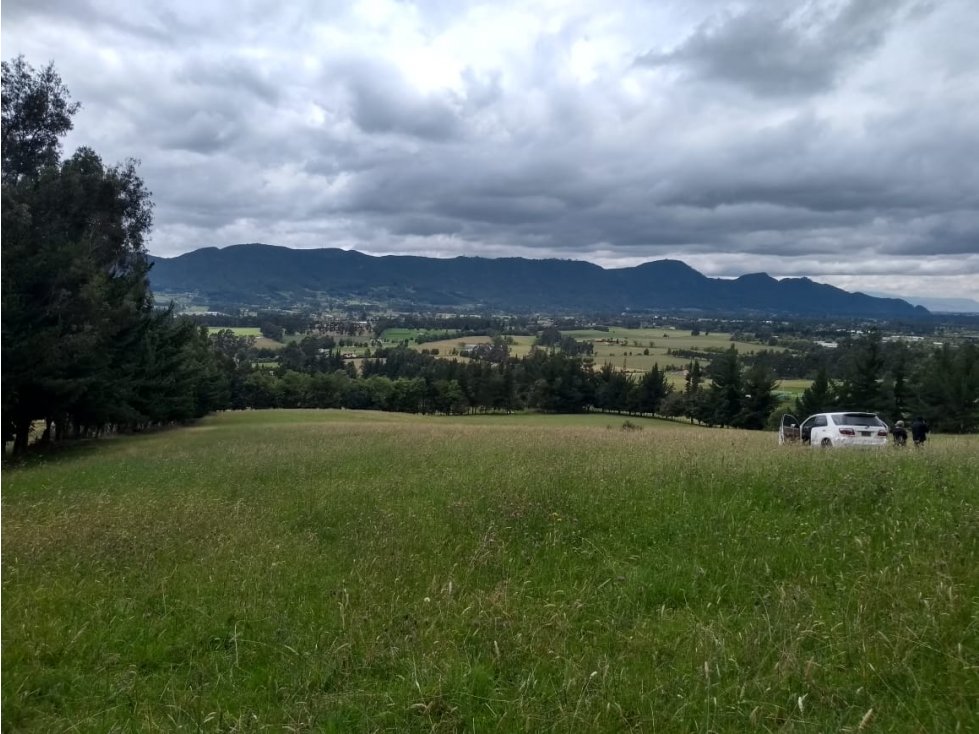 VENTA FINCA EN TENJO. 39.5 FANEGADAS PLANAS CON VÍA PAVIMENTADA. - 5