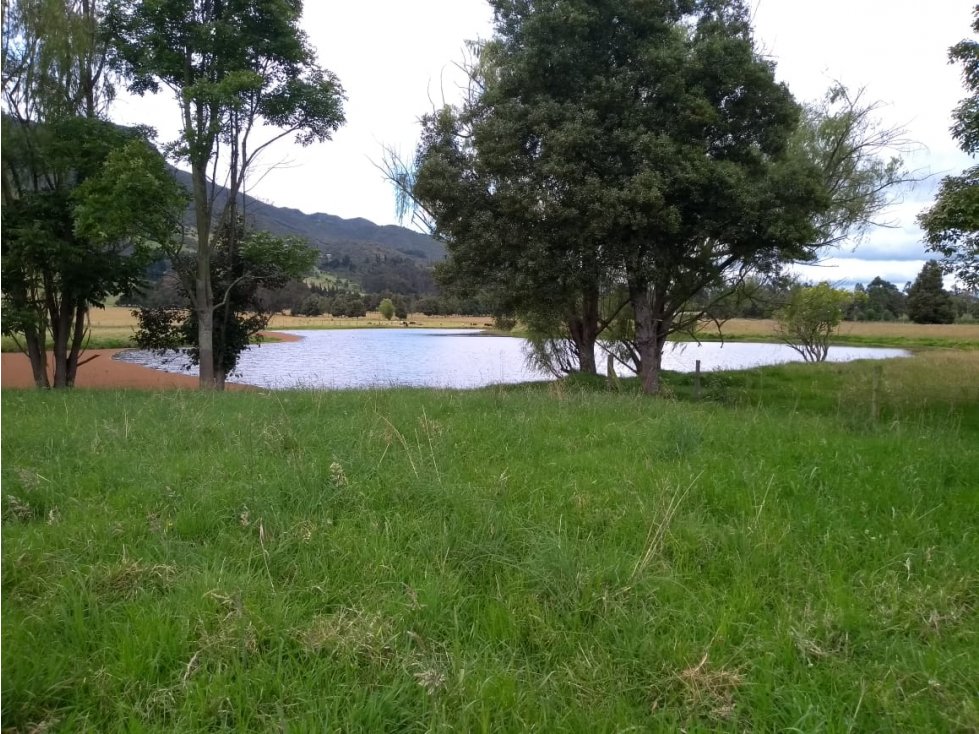 VENTA FINCA EN TENJO. 39.5 FANEGADAS PLANAS CON VÍA PAVIMENTADA. - 2