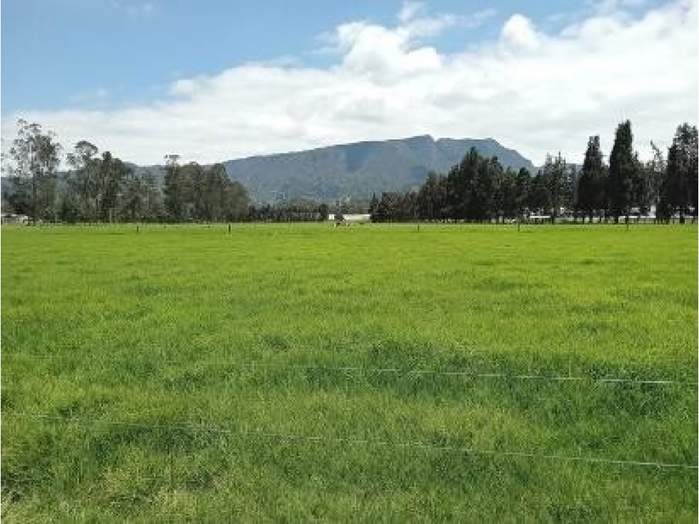 FINCA SE VENDE SOPO CUNDINAMARCA - 2