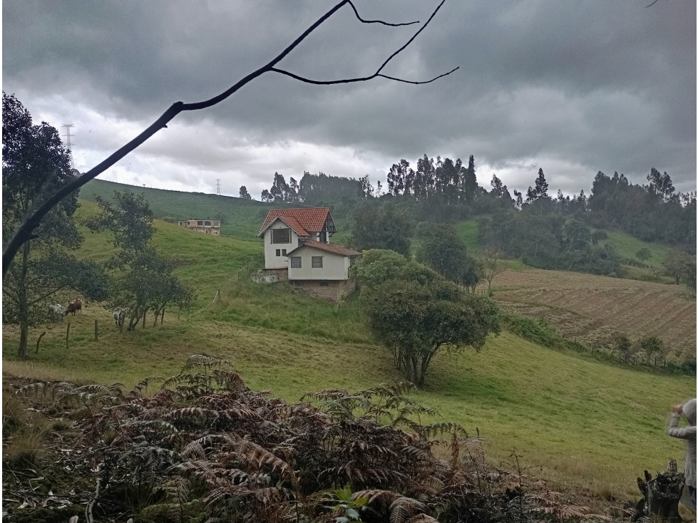 FINCA SE VENDE ZIPAQUIRÁ CUNDINAMARCA - 2