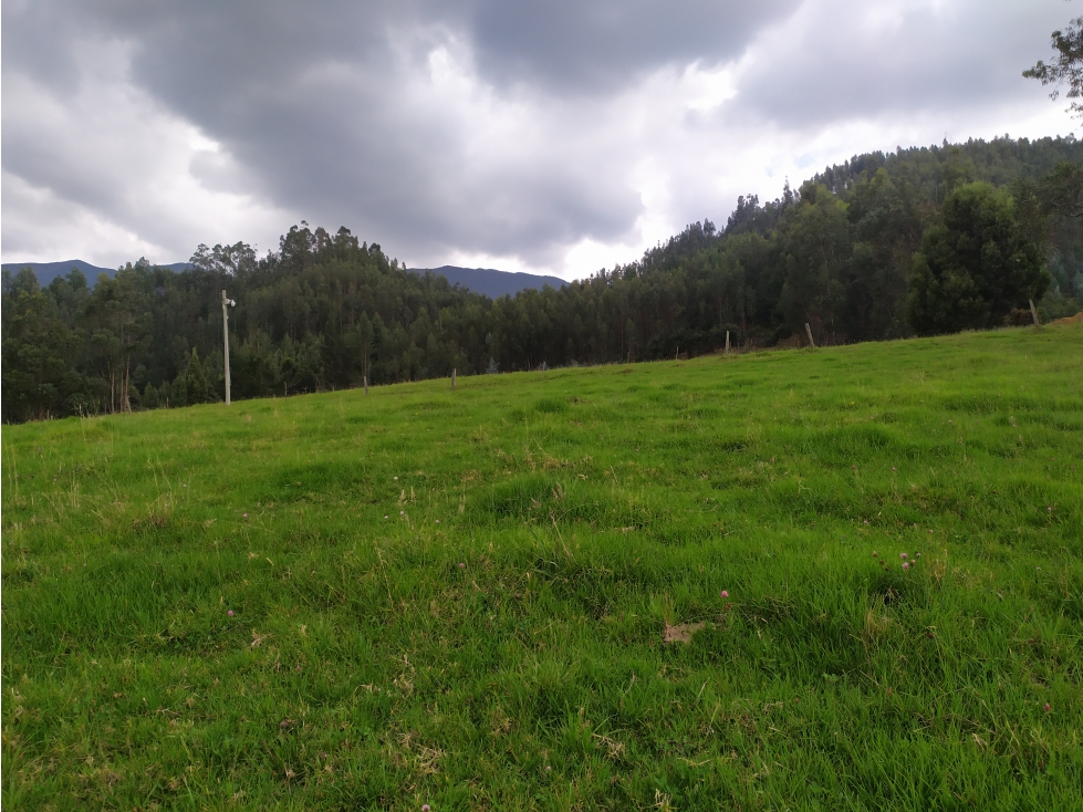 LOTE SE VENDE SOTAQUIRA BOYACÁ - 1