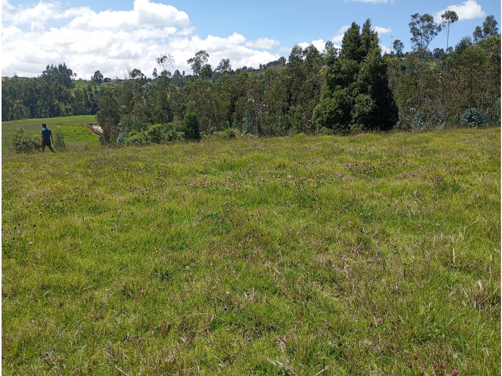 LOTE SE VENDE SOTAQUIRA BOYACÁ - 2