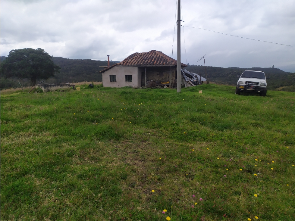 Finca 156 fanegadas Reserva Forestal Se Vende Sotaquirá Boyacá. - 3