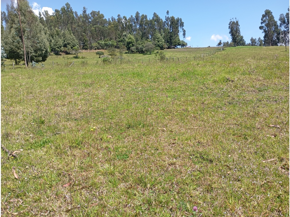 LOTE SE VENDE SOTAQUIRA BOYACÁ - 3
