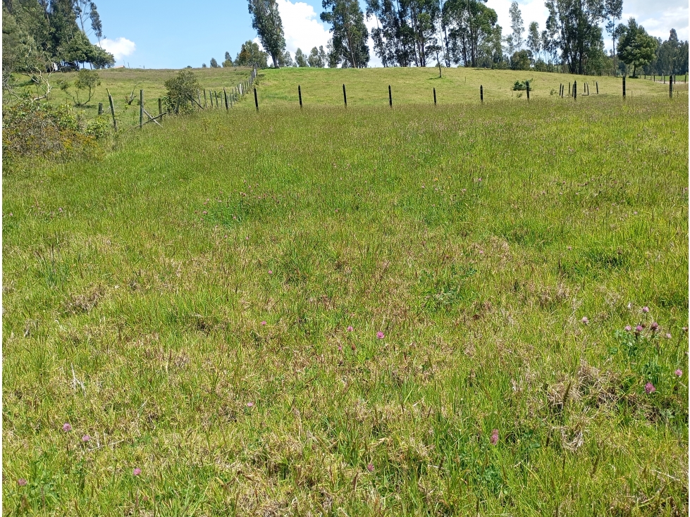 LOTE SE VENDE SOTAQUIRA BOYACÁ - 4