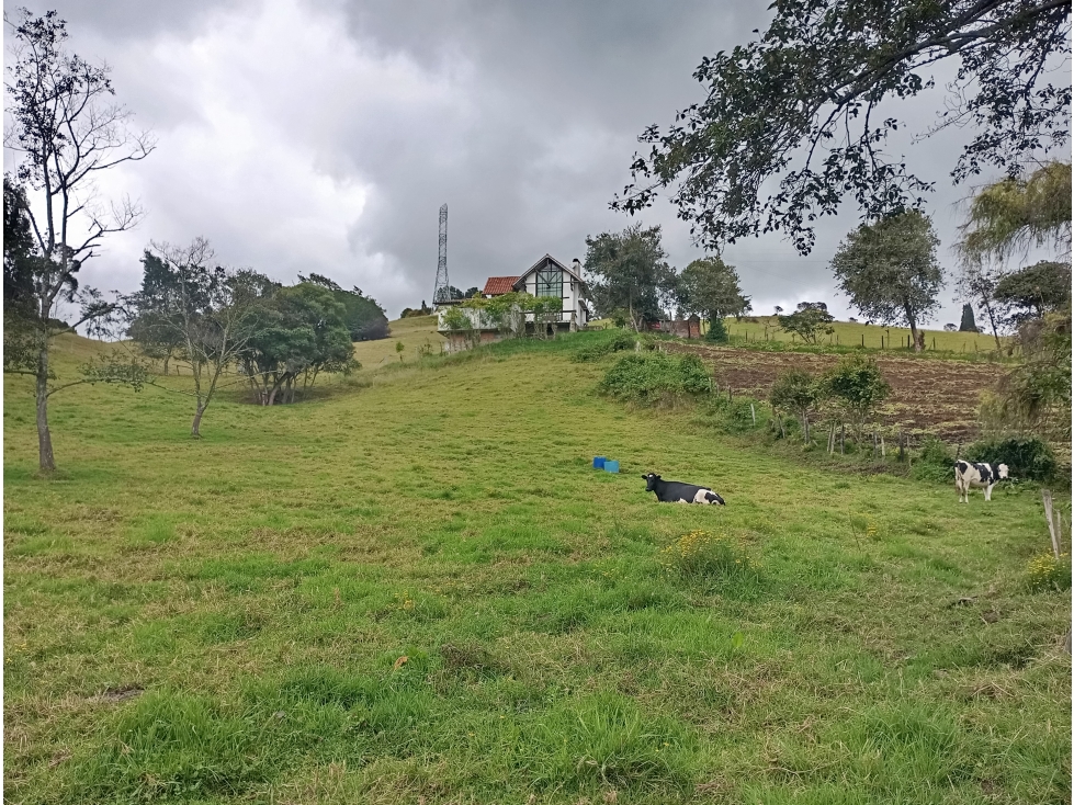 FINCA SE VENDE ZIPAQUIRÁ CUNDINAMARCA - 1