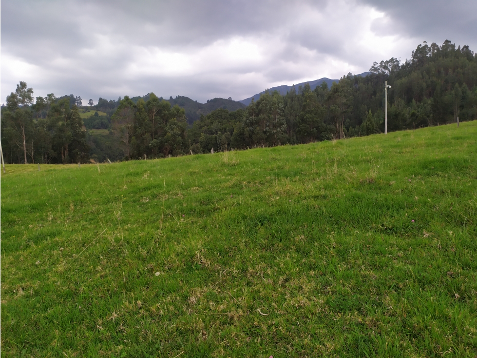 LOTE SE VENDE SOTAQUIRA BOYACÁ - 2