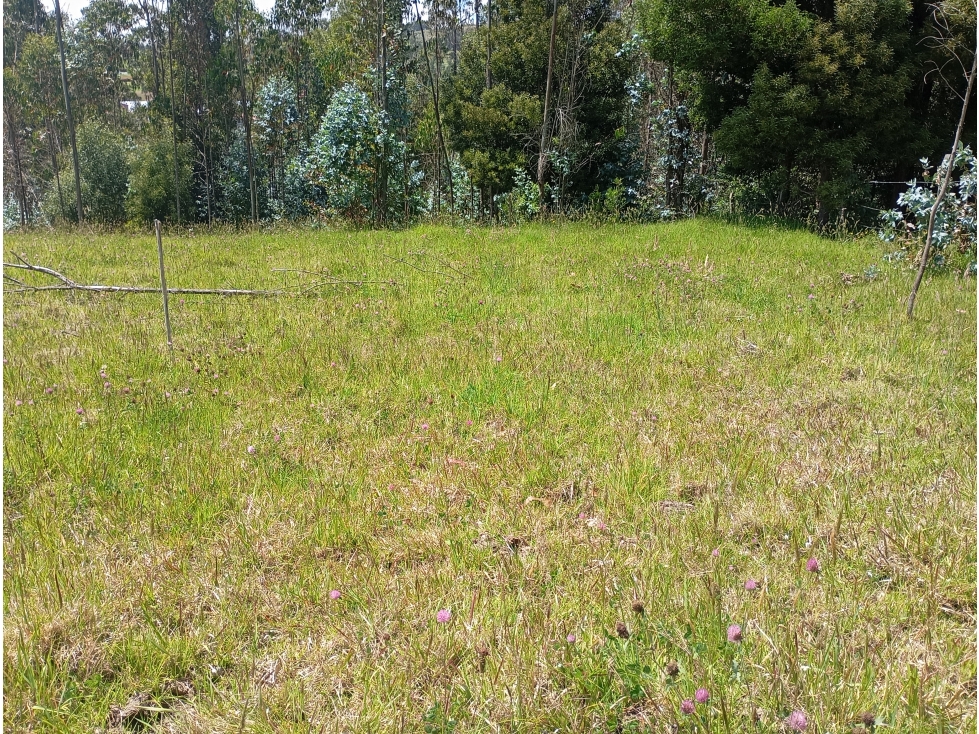 LOTE SE VENDE SOTAQUIRA BOYACÁ - 6