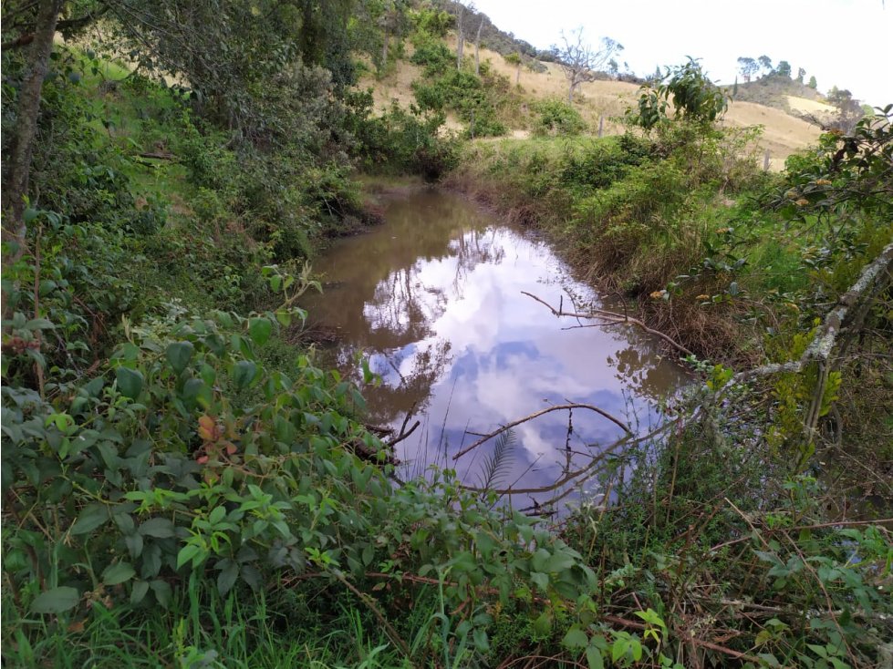 FINCA SE VENDE. TAUSA CUND. - 5