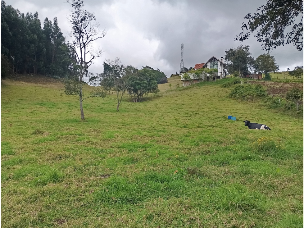 FINCA SE VENDE ZIPAQUIRÁ CUNDINAMARCA - 3