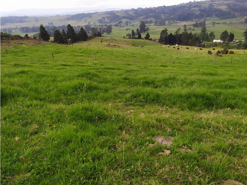 LOTE SE VENDE SOTAQUIRA BOYACÁ - 3