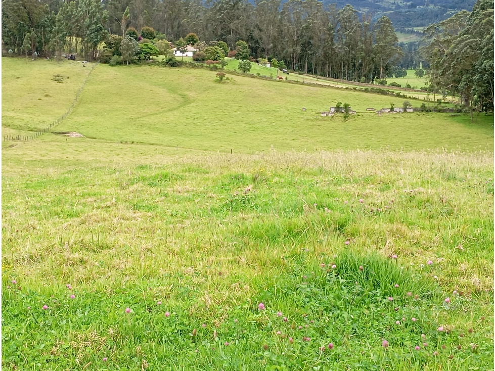 FINCA SE VENDE SOTAQUIRÁ BOYACÁ - 4
