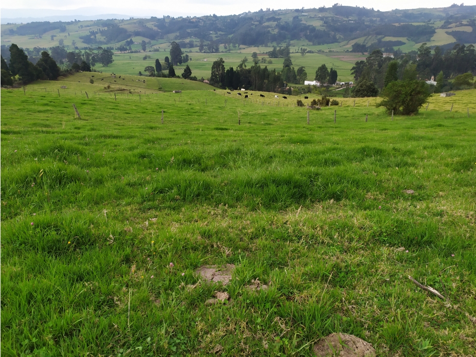 LOTE SE VENDE SOTAQUIRA BOYACÁ - 4
