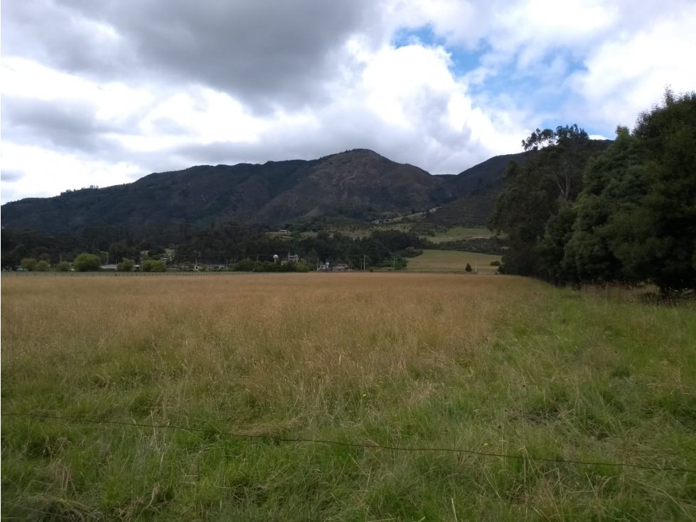 VENTA FINCA EN TENJO. 39.5 FANEGADAS PLANAS CON VÍA PAVIMENTADA. - 6
