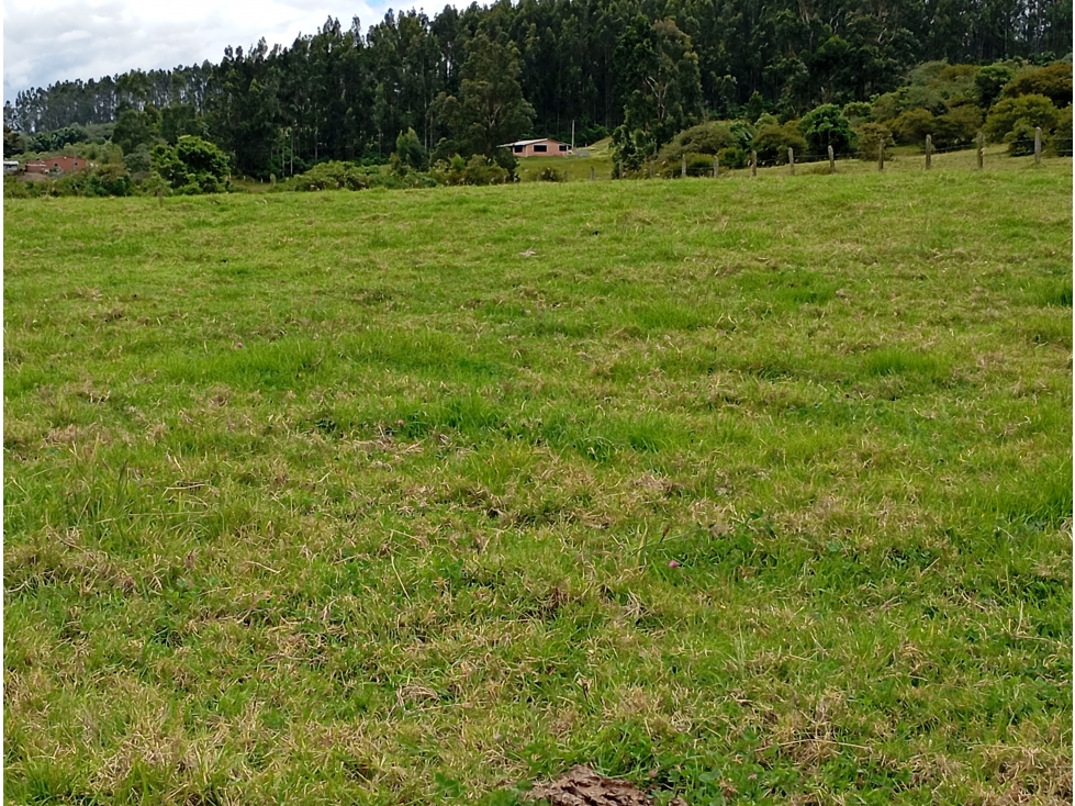 FINCA SE VENDE SOTAQUIRÁ BOYACÁ - 1