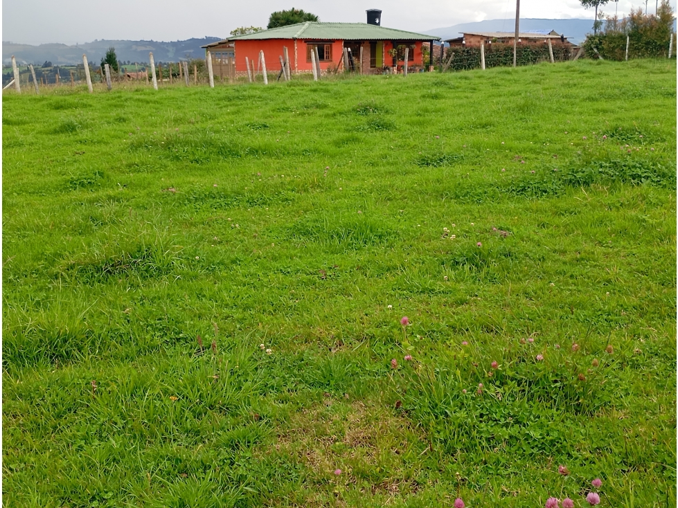 LOTE SE VENDE SOTAQUIRÁ BOYACÁ - 5