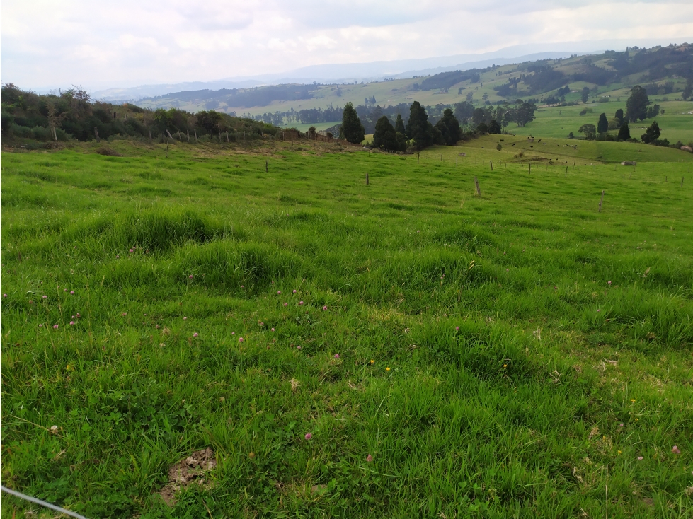 LOTE SE VENDE SOTAQUIRA BOYACÁ - 5