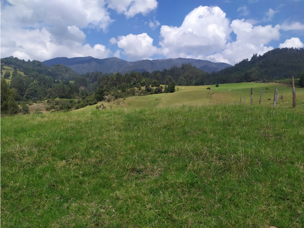LOTE SE VENDE SOTAQUIRA BOYACÁ - 6
