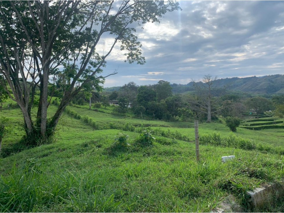 Lote Condominio Campestre Vereda Palermo Vía Manizales Medellín — foto 4