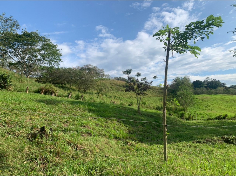 Lote Condominio Campestre Kilometro 47 Vía Manizales Medellín